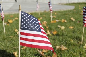 American Flags on Campus
