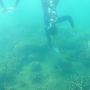 Students scuba diving in Australia