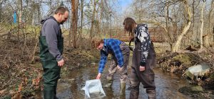 Students collect water samples in a local creek.