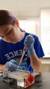 Female with dark brown hair in a pony tail wearing a royal blue t-shirt using a syringe in a lab testing DNA