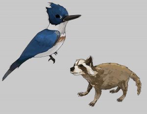 Colored sketch of a bird and a raccoon on a gray background