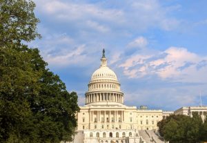 Capital building with blue sky behind it and trees around it