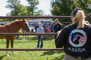 A horse in a pen with a young woman and man while another woman looks over the fence